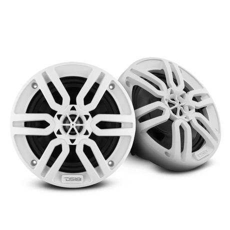 DS18 Golf Cart Package - 2 x 6.5” Marine Speakers +1 x 2 Ch Amp +1 x AMPKIT8 +1 x ENSBTRC-SQ, BLACK or WHITE.